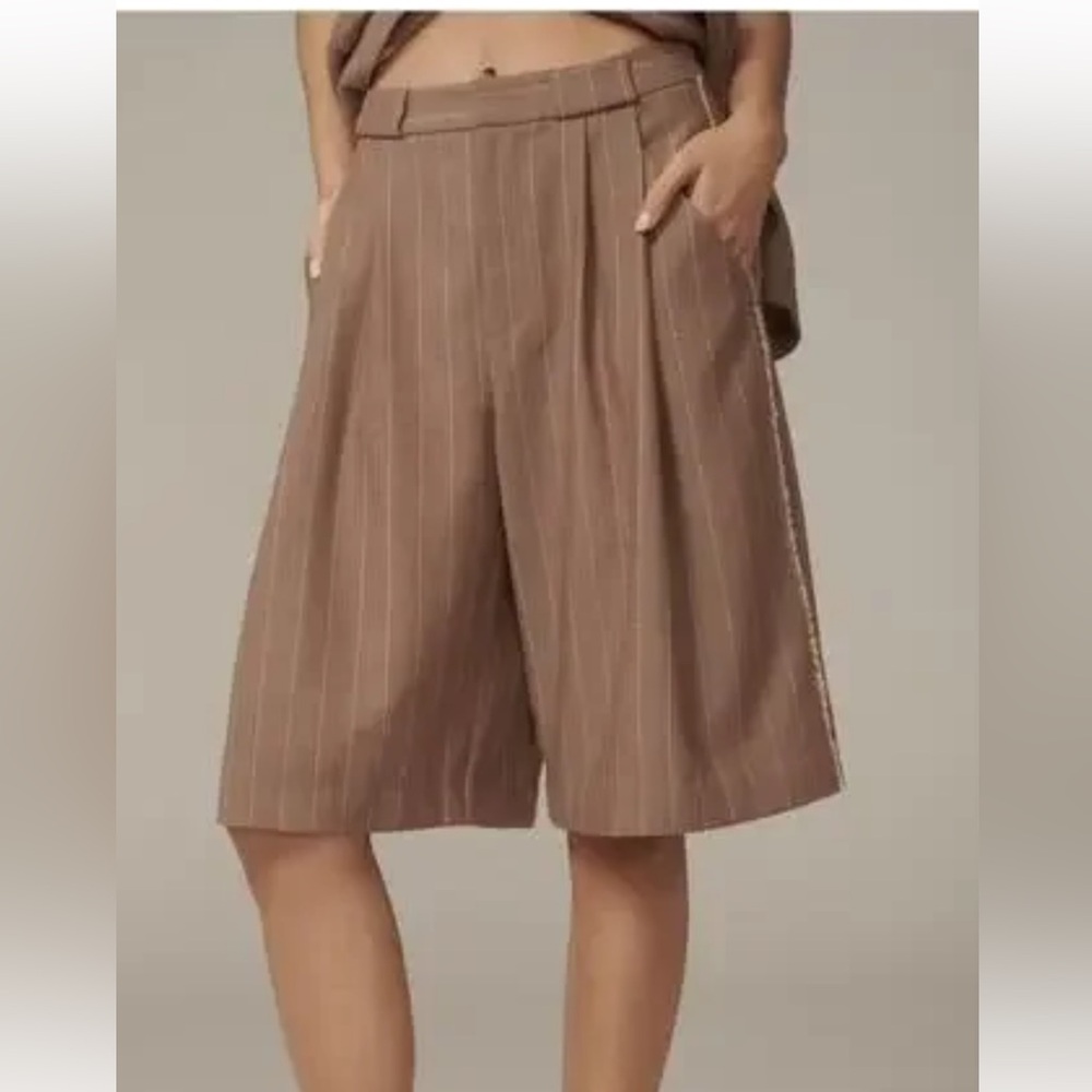 Anthropologie Pinstripe Shorts